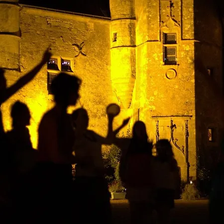 Chateau De Vermette * La Chapelle-Gaudin